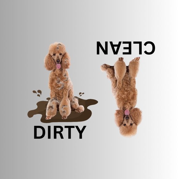 STANDARD POODLE Clean Dirty Dishwasher Flexible Magnet - Picture 1 of 1